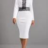 White Lace Patchwork Long Sleeve Dress 1 White Lace Patchwork Long Sleeve Dress -Modlily Shop 305118 P 16595237048400