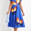 Sky Blue Pleated Butterfly Print Short Sleeve Dress